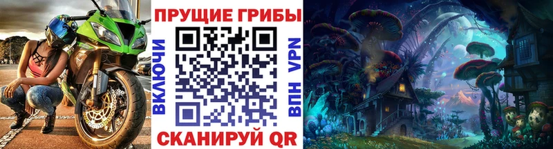 Купить где  Полярный  Псилоцибиновые грибы мицелий 