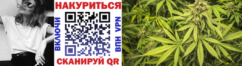 Бошки Шишки гибрид  Купить закладки  Полярный 